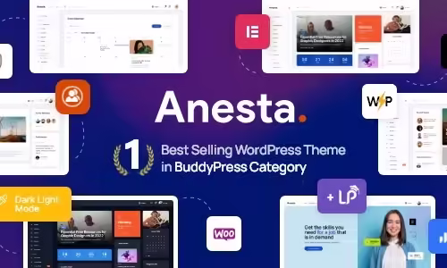 Anesta - Intranet, Extranet, Community and BuddyPress WordPress Theme 1.2.1