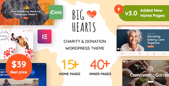 BigHearts - Charity & Donation WordPress Theme 3.1.3