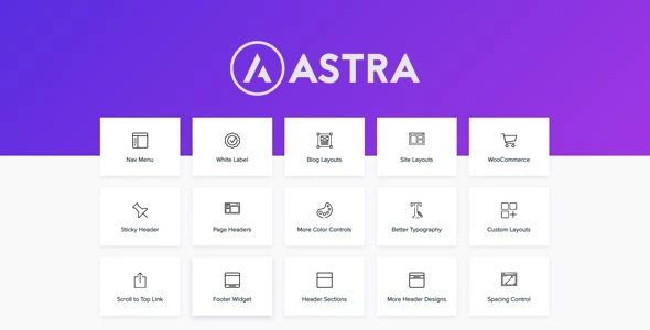 Astra Pro Addon – Perfect Theme For Any Website